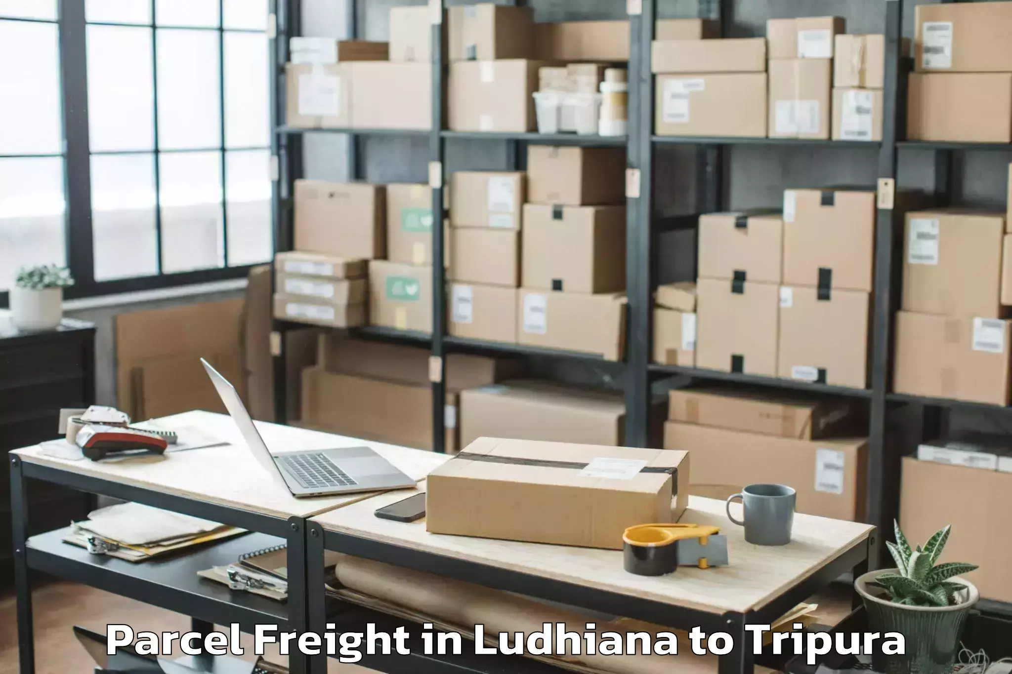 Easy Ludhiana to Amarpur Gomati Parcel Freight Booking